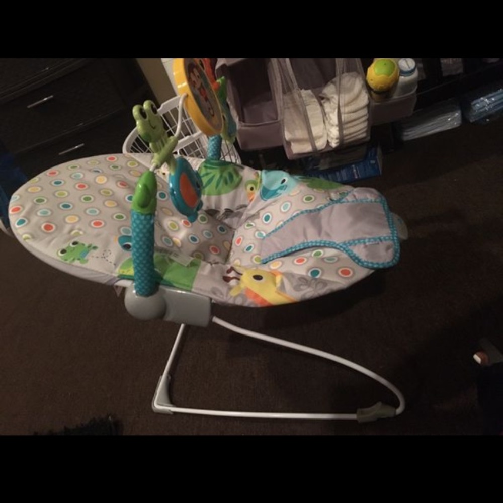 Baby Bouncer